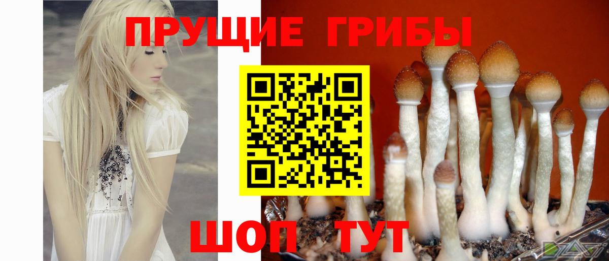Галлюциногенные грибы прущие грибы Вичуга