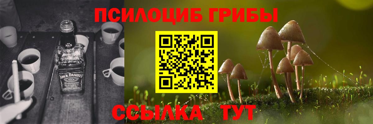Вичуга  Галлюциногенные грибы Psilocybine cubensis  Галлюциногенные грибы Magic Shrooms  Вход с VPN 